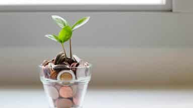 Photo "How to Create a Crypto Savings Plan"