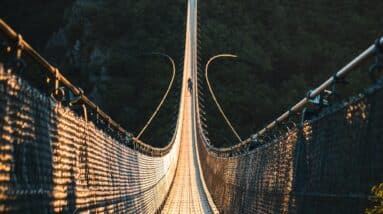Photo Stablecoins: the Bridge Between Fiat and Crypto
