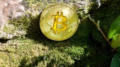 Photo "How Can I Protect My Cryptocurrency Holdings from Potential Regulatory Changes or Government Crackdowns?"