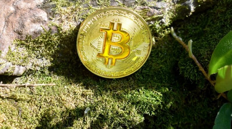 Photo "How Can I Protect My Cryptocurrency Holdings from Potential Regulatory Changes or Government Crackdowns?"