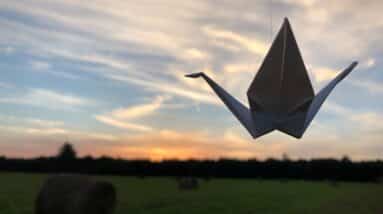 Photo What is the Role of Decentralized Autonomous Organizations (DAOs) in the Governance of Cryptocurrency Projects?