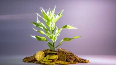 Photo The Impact of Crypto on Traditional Investment Strategies