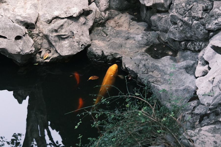 Mining Pool
