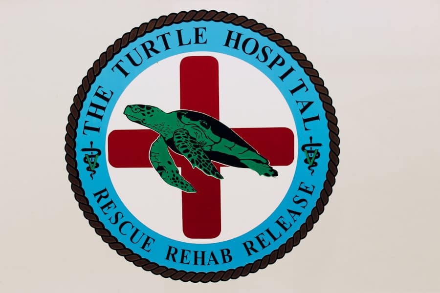 Ripple XRP logo