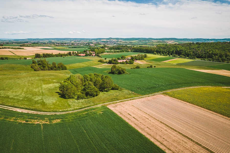 Agricultural field