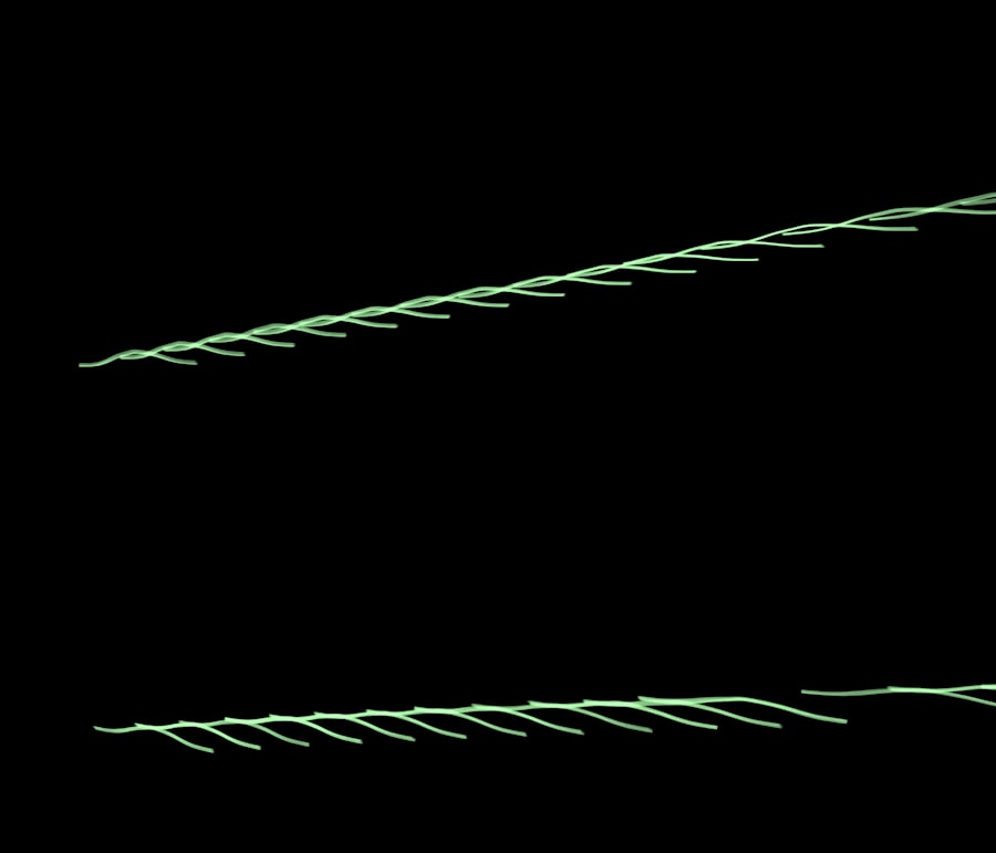 Line graph