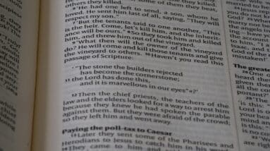 Photo Regulatory Compliance