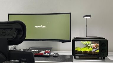 Photo Masternode setup