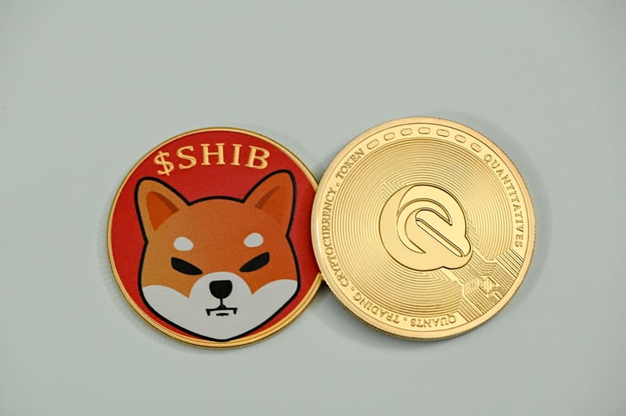 Photo Privacy coin logo