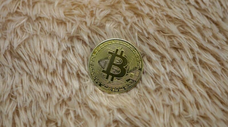 Photo Crypto Wallet