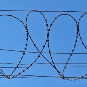 Photo Line graph