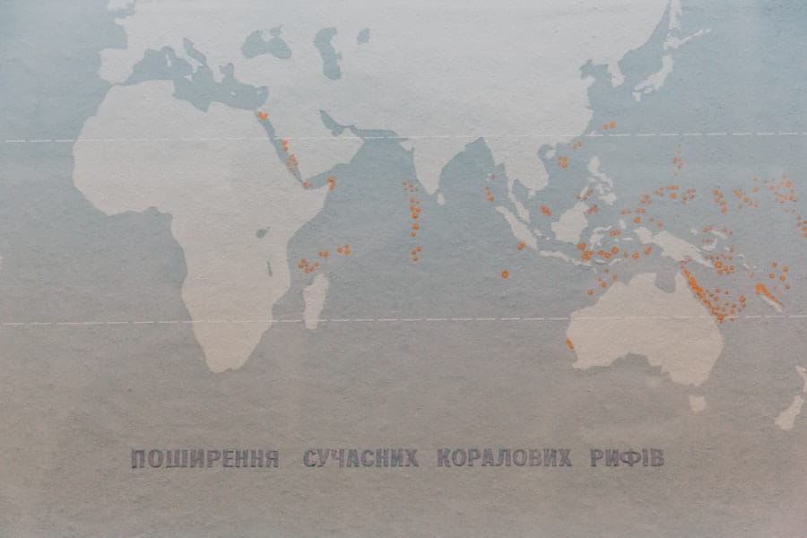 Photo Global transactions