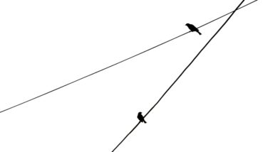 Photo Comparison chart