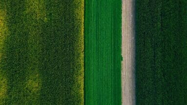 Photo Yield Farming