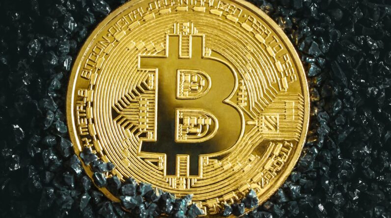 Photo Blockchain Supremacy