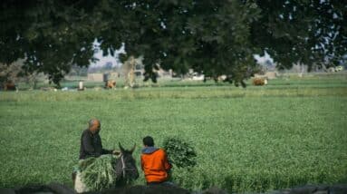 Photo Yield Farming Ethereum
