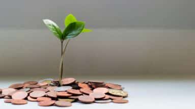 Photo Ethical Investing