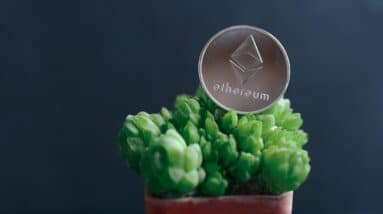 Photo Passive Income on Ethereum