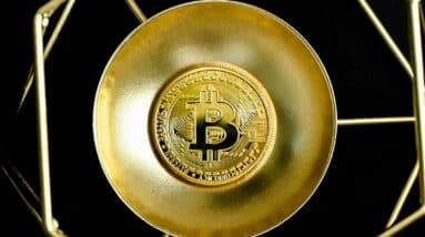 Photo Bitcoin Forks