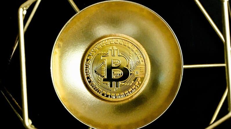 Photo Bitcoin Forks