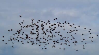 Photo Ethereum migration